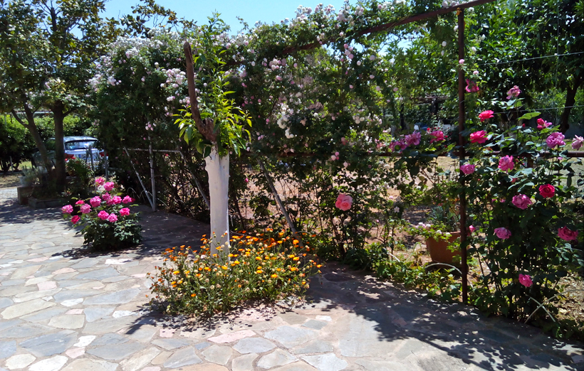 Hotel Akrogiali